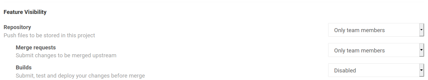 Feature Visibility With Builds Disabled